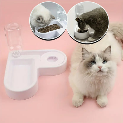 gamelle pour chat avec petit chat blanc coucher avec image representative