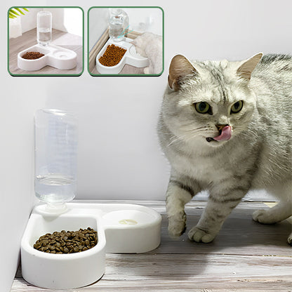 gamelle pour chat avec petit chat gris coucher avec image representative
