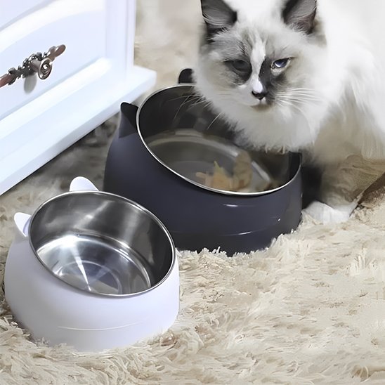 Gamelle chat | Inox Double