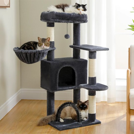 Arbre à chat | Design Multi-Niveaux