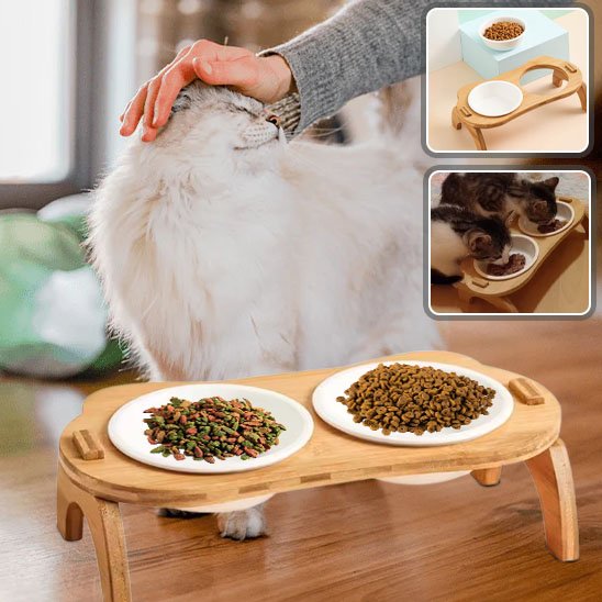 Gamelle chat | Surélevée Ergonomique
