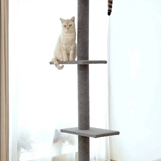 Arbre à chat | Design Multiplateforme Confort