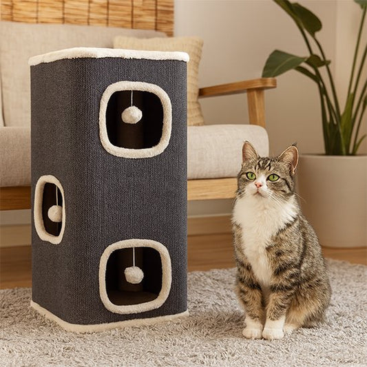 Arbre à Chat | Luxe Multi-Niveaux