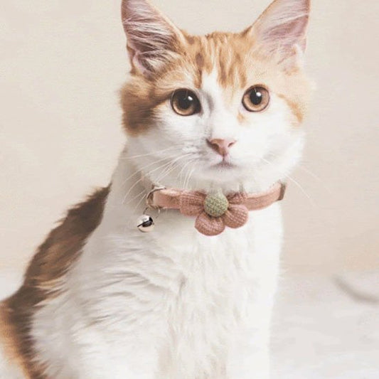 Collier chat | Fleur Crochetée Hypoallergénique