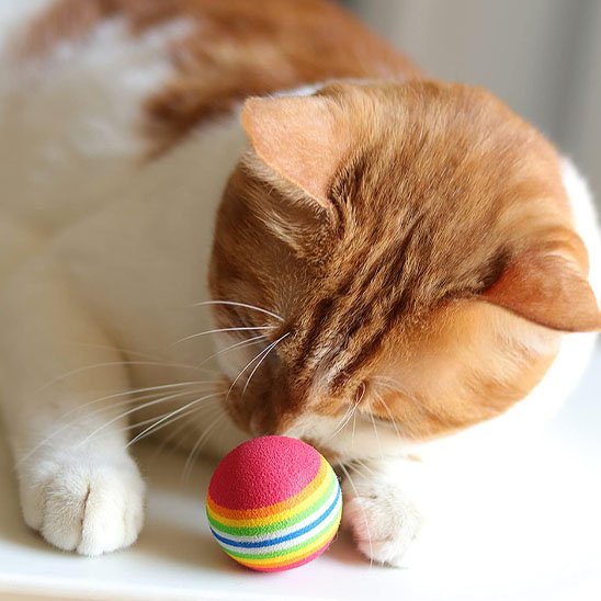 Jouet pour chat | Balles chasseuses