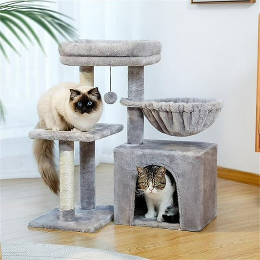 Petit arbre à chat | Compact