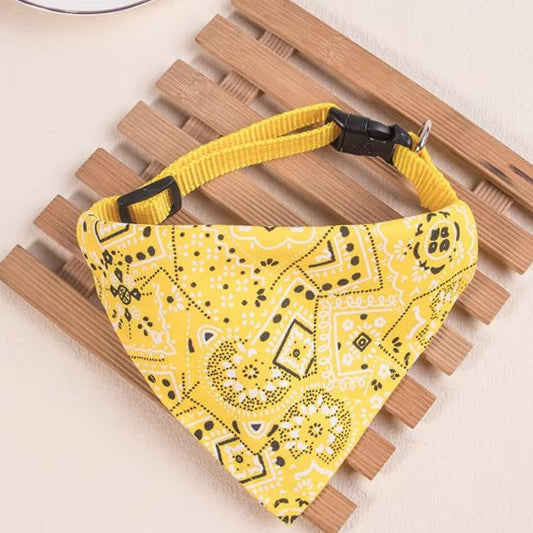 Collier chat | Bandana Ajustable