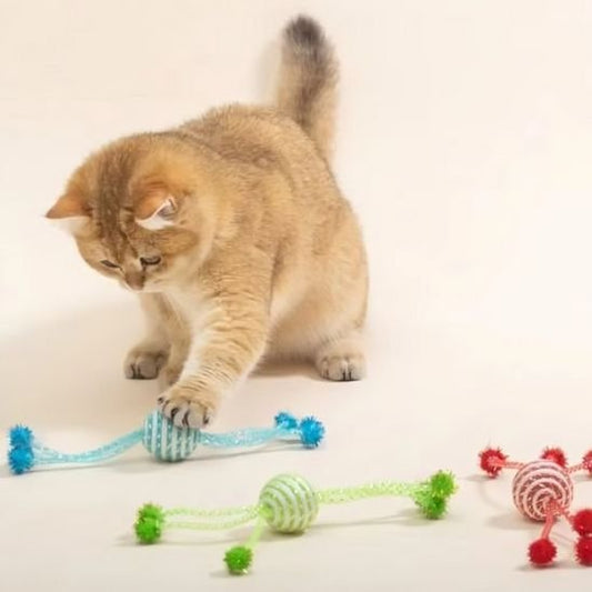 Jouet pour chat | Spirale Interactive Colorée