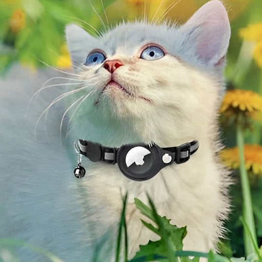 Collier chat GPS | Traceur félin