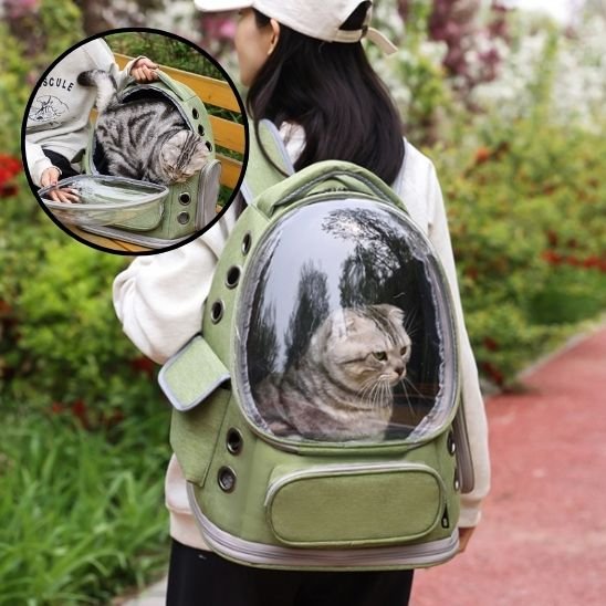 Sac à dos chat | Bulle Panoramique