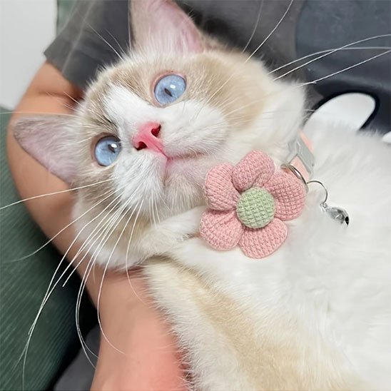 Collier chat | Fleur Crochetée Hypoallergénique