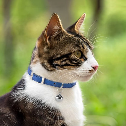 Collier chat élégant | Premium