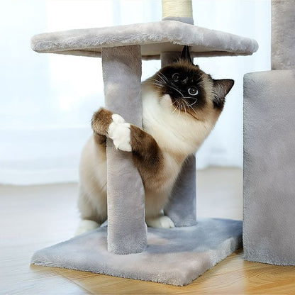 Petit arbre à chat | Compact