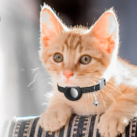 Collier GPS Chat | Tracktronics