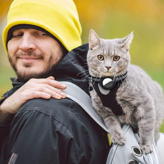 Collier chat GPS | Traceur félin