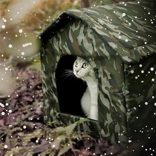 Niche exterieur pour chat | Imperméable Décorative