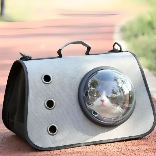 Sac transport chat | Capsule Spatiale