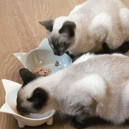 gamelle chat | Ceramic Design