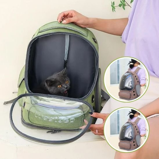 Sac à dos chat | Bulle Panoramique