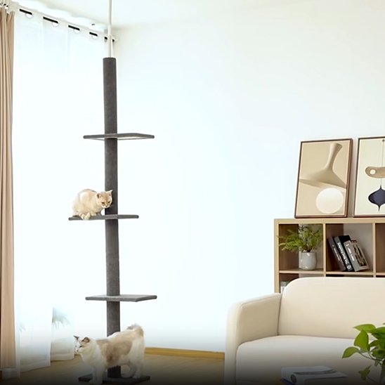 Arbre à chat | Design Multiplateforme Confort