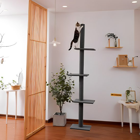 Arbre à chat | Design Multiplateforme Confort
