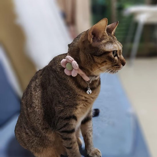 Collier chat | Fleur Crochetée Hypoallergénique