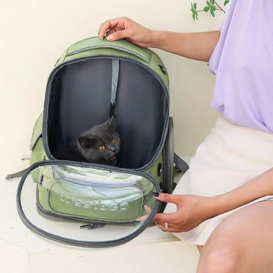 Sac à dos chat | Bulle Panoramique