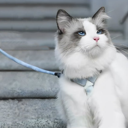Harnais Chat | Design Pastel