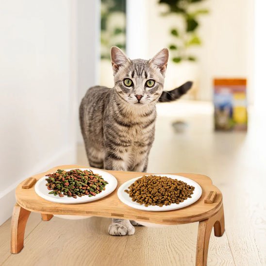 Gamelle chat | Surélevée Ergonomique