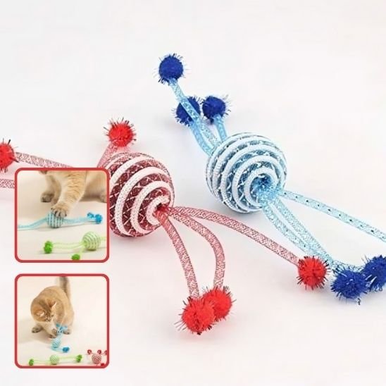 Jouet pour chat | Spirale Interactive Colorée