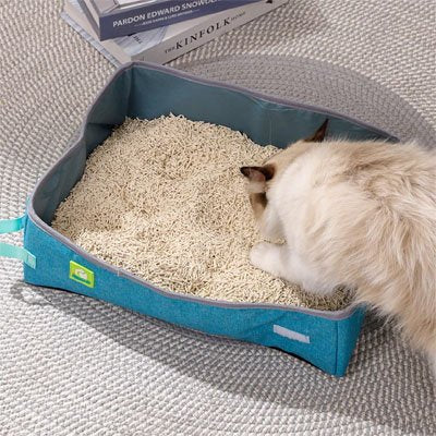 Bac à litière Chat | Pliable Turquoise