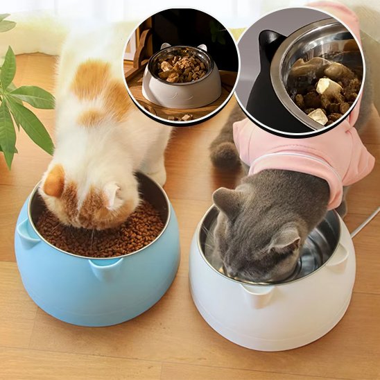 Gamelle chat | Inox Double