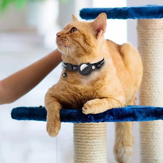 Collier chat GPS | Traceur félin