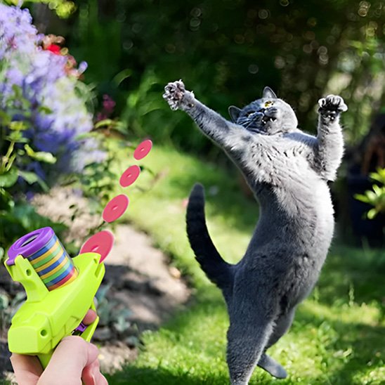 Jouet pour chat | Lanceur de Disques Interactif
