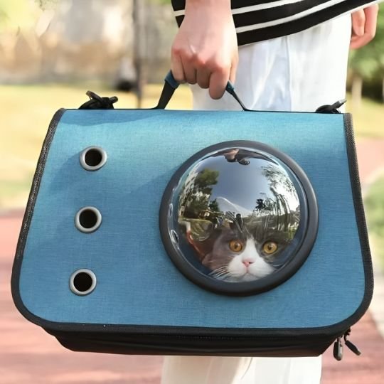 Sac transport chat | Capsule Spatiale