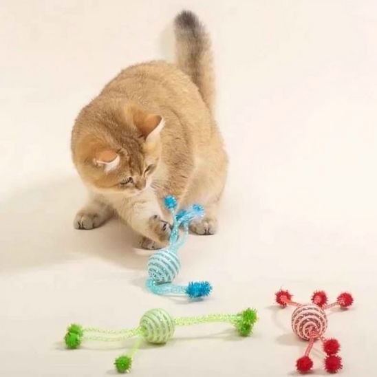 Jouet pour chat | Spirale Interactive Colorée
