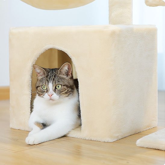Petit arbre à chat | Compact