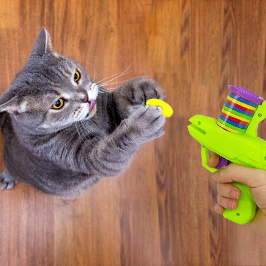 Jouet pour chat | Lanceur de Disques Interactif