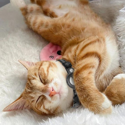 Collier chat GPS | Traceur félin