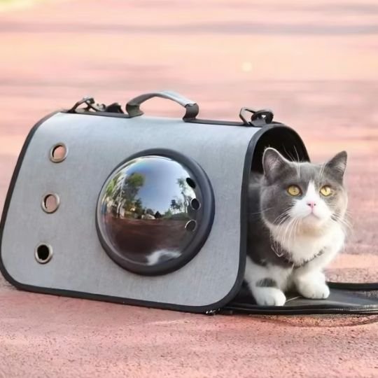 Sac transport chat | Capsule Spatiale