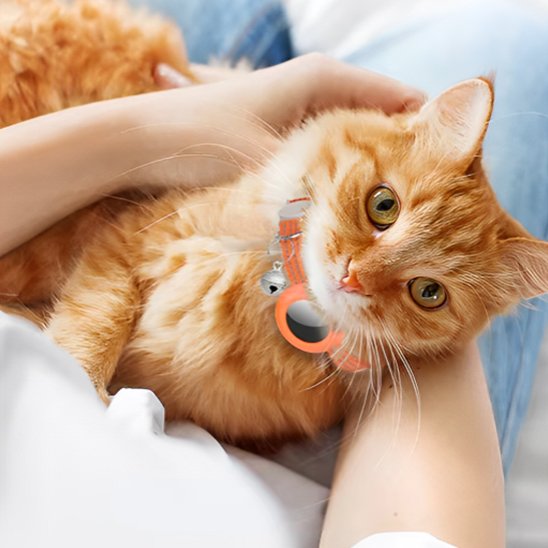 Collier GPS Chat | Tracktronics