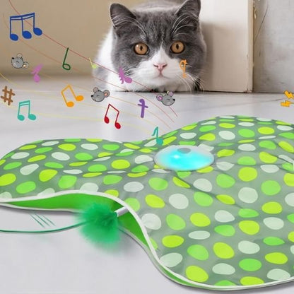 Jouet pour chat | Tapis Lumineux Sensoriel
