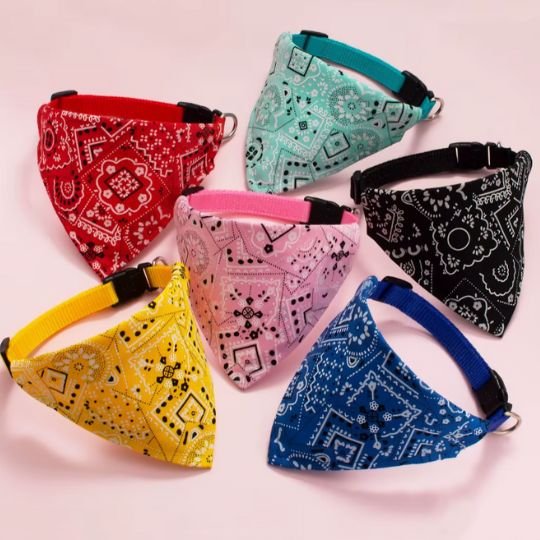 Collier chat | Bandana Ajustable