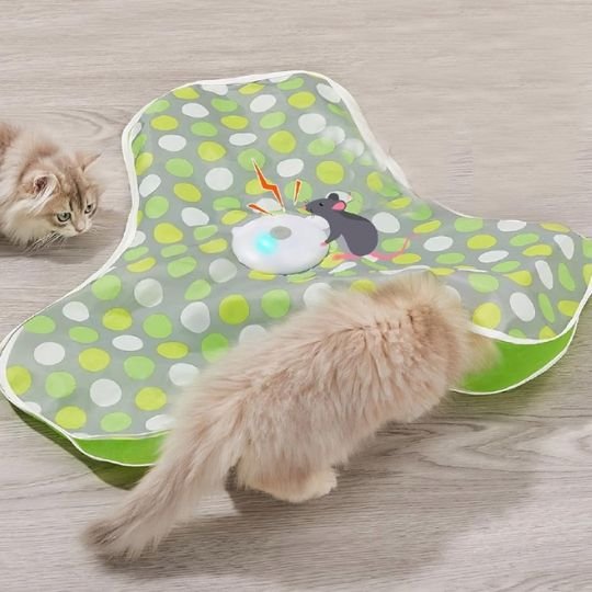 Jouet pour chat | Tapis Lumineux Sensoriel