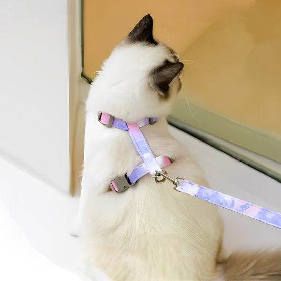 Harnais Chat | Design Pastel