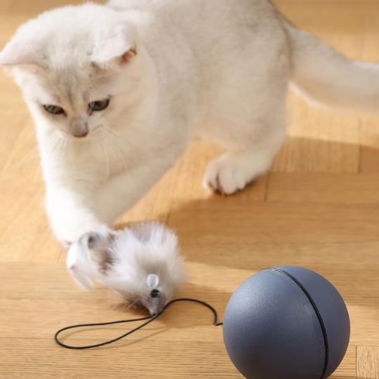 Jouet pour chat | PawPlay Interactif