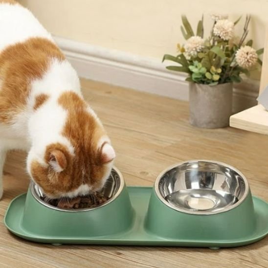 Gamelle chat | Double Inox Design