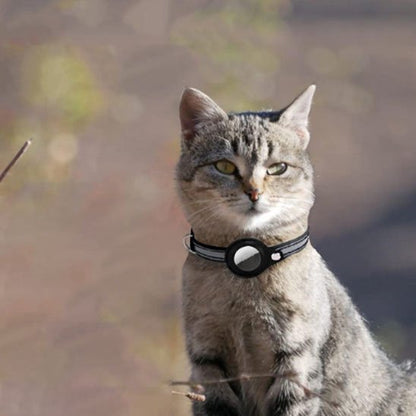 Collier chat GPS | Traceur félin