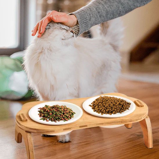 Gamelle chat | Surélevée Ergonomique
