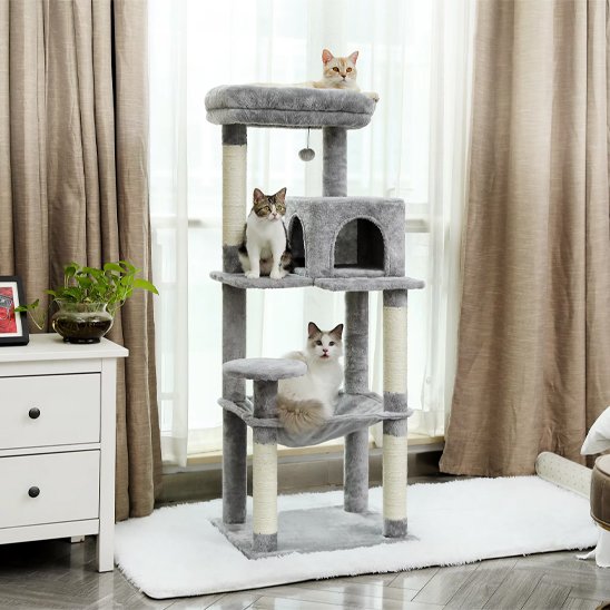 Arbre à chat | Design Multi-Niveaux